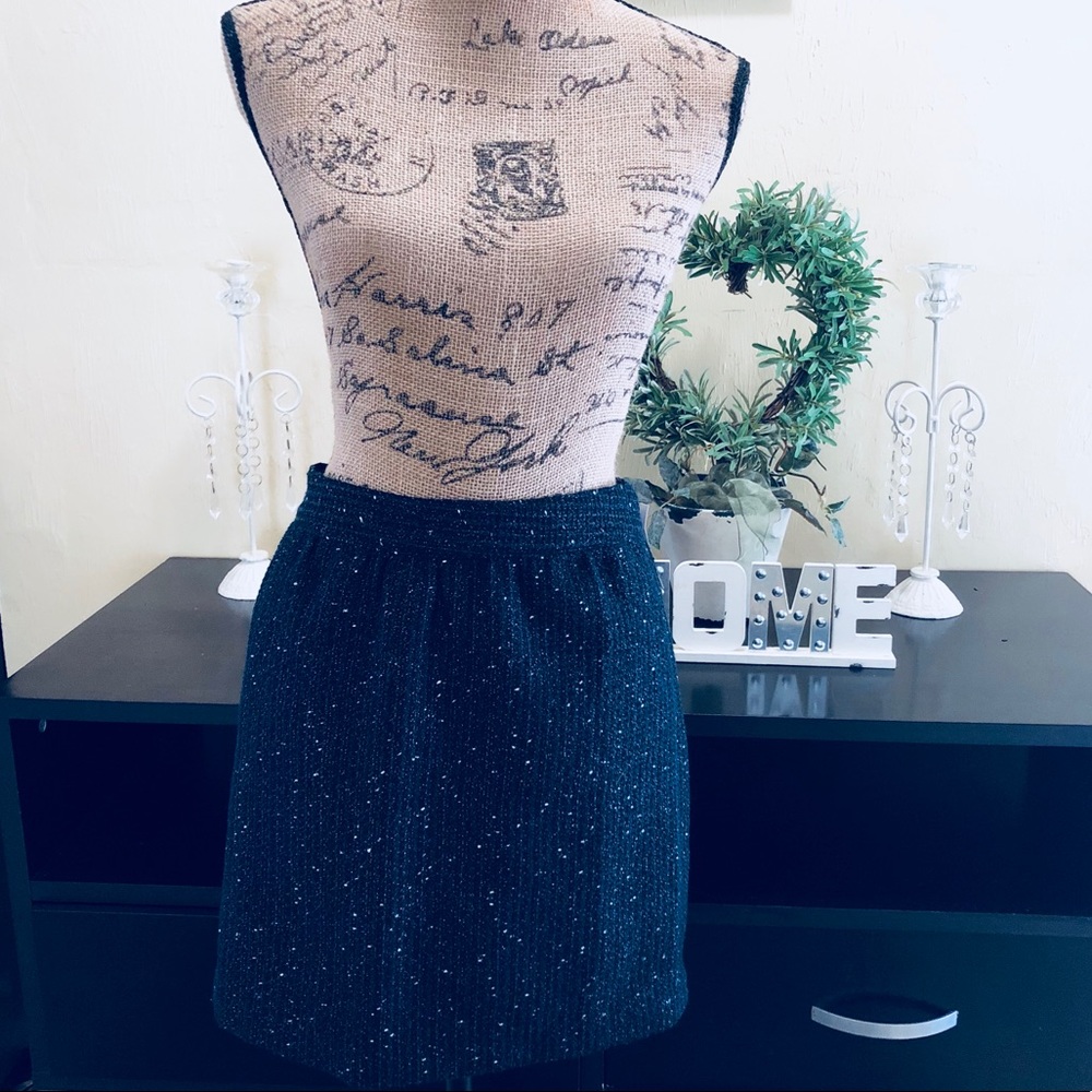 SOLD Ann Taylor Loft Petite Skirt Size 2P - Picture 2 of 4